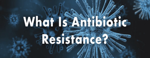 Screen Shot 2020-07-16 at 3.46.32 pm