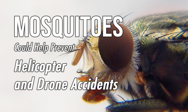 Screen Shot 2020-09-16 at 10.26.32 am